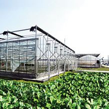 農(nóng)業(yè)服務